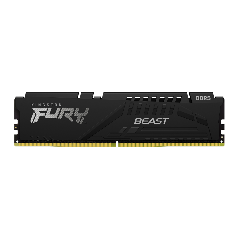 Kingston Desktop DDR5 BEAST 16GB 4800MHz RAM, PC5-38400, CL40, Non-ECC, Unbuffered, DIMM